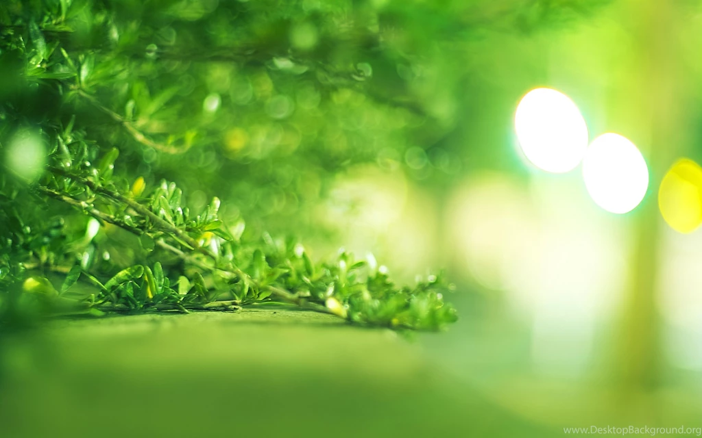 Download Wallpapers 3840x2400 Grass, Leaves, Background, Bright ...