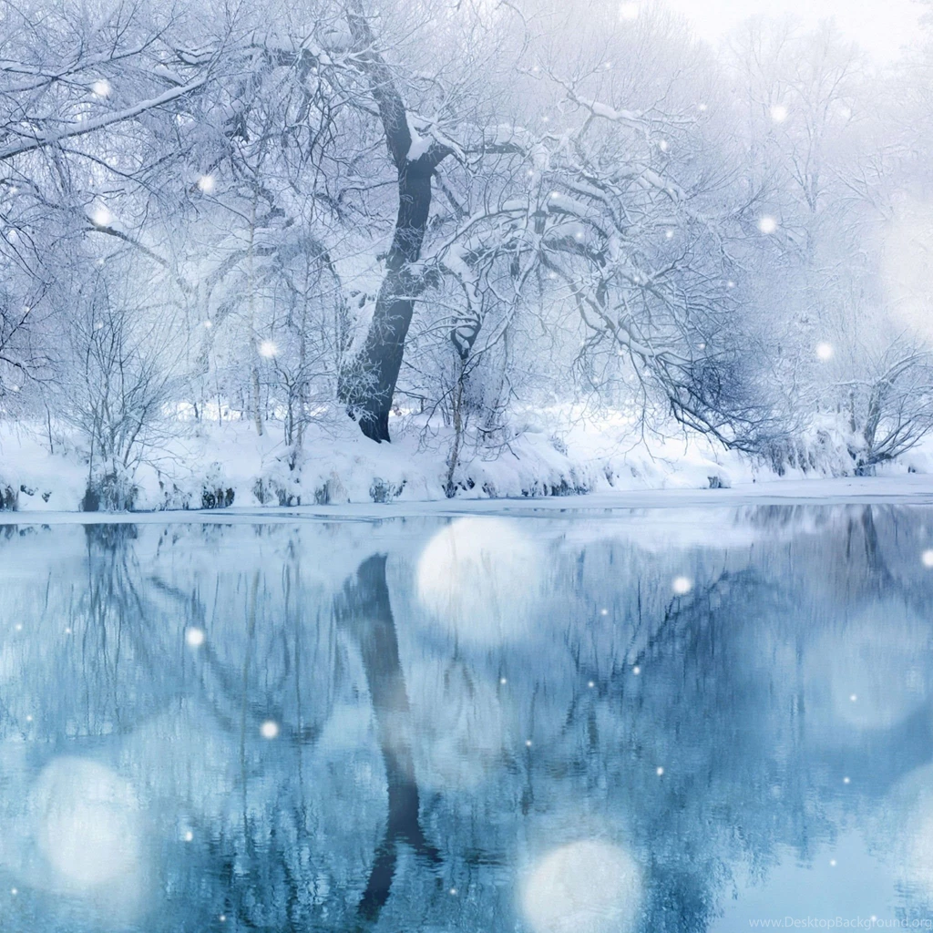 Winter Snowfall iPad Air Wallpapers Download