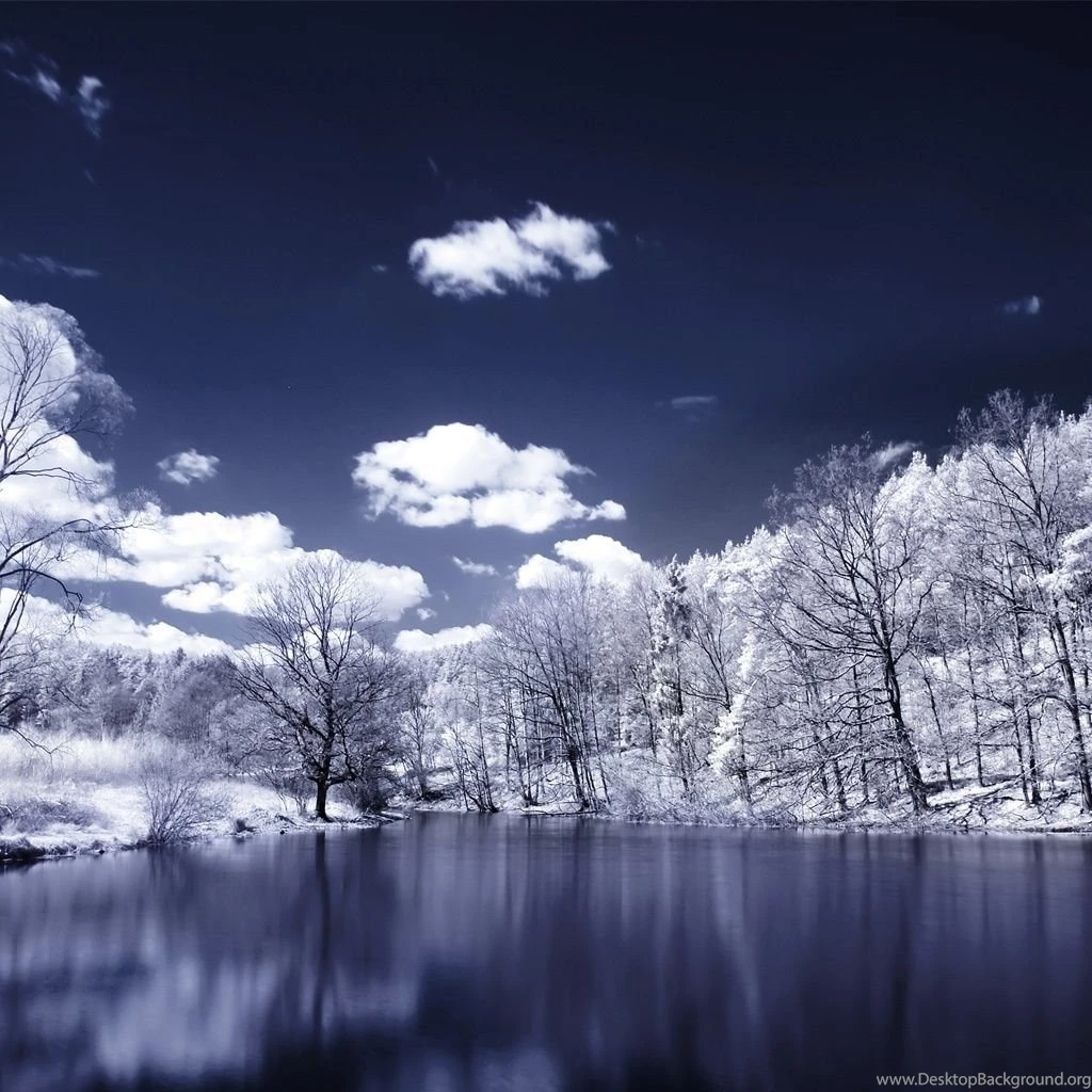Snow Winter Scene iPad 1 & 2 Wallpapers
