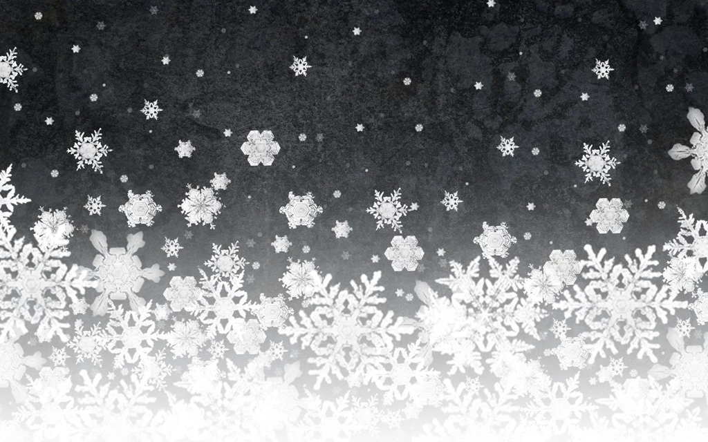 Black And White Snow