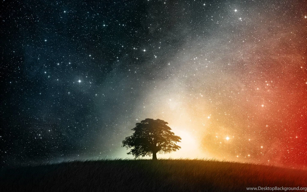 Tree Grass Stars Sky Wallpapers Free HD Wallpapers Stock Desktop Background