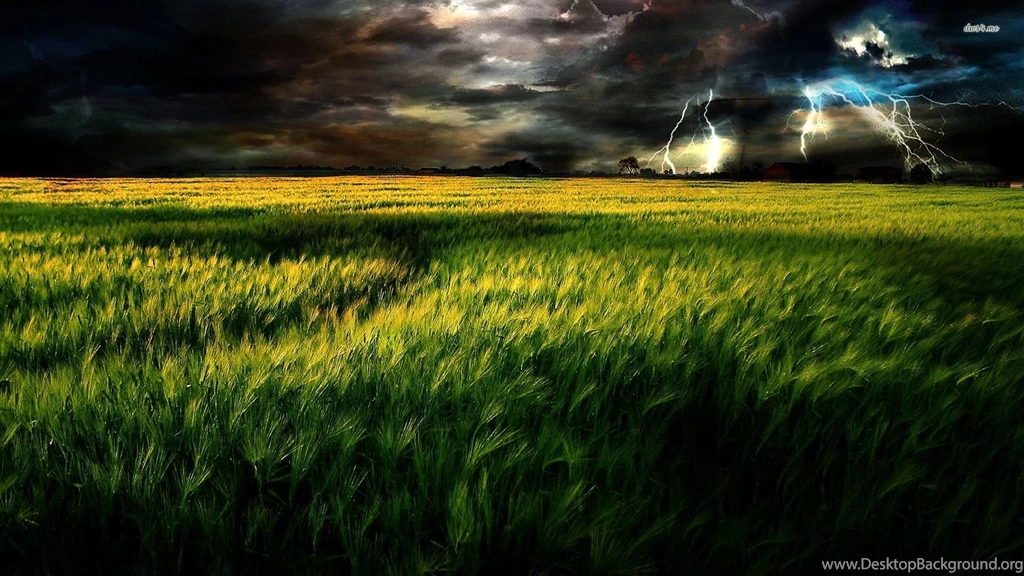 Lightning On The Field Wallpapers Photography Wallpapers