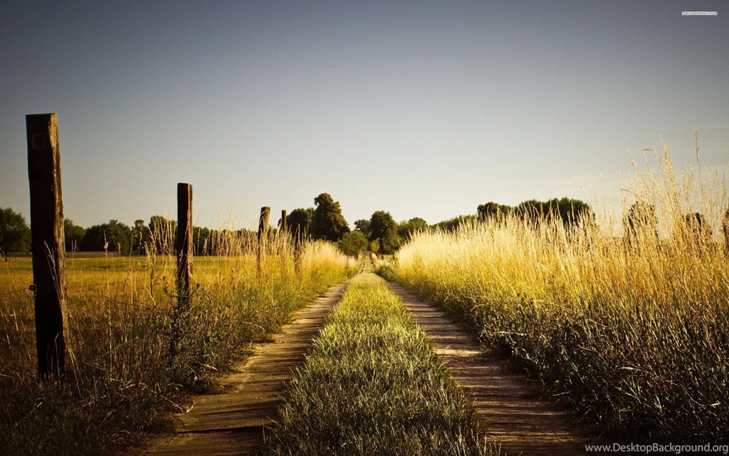 Rural Road In The Field Wallpapers