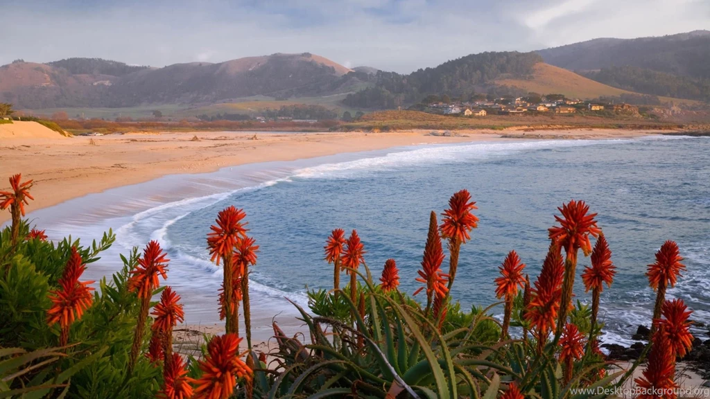California Wallpapers 27 – HD Wallpaper, Wallpapers Pics The Best ...