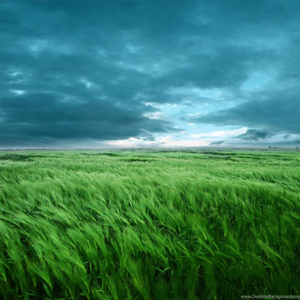 Cloudy Day Ipad Wallpapers To Download