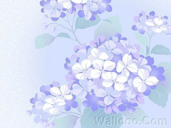 Hydrangea Flowers, Graphic Flowers Backgrounds (1920+1600 ) 12 ...
