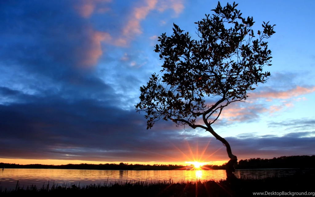 Sunset Pelican Island Australia Wallpapers