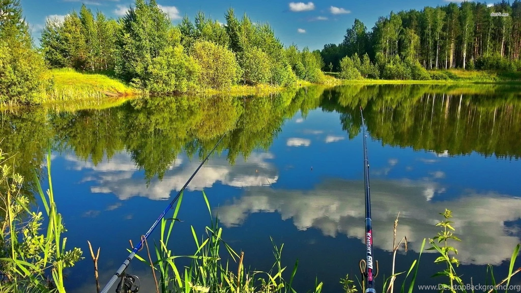 Fishing In The Calm Pond Wallpapers Nature Wallpapers