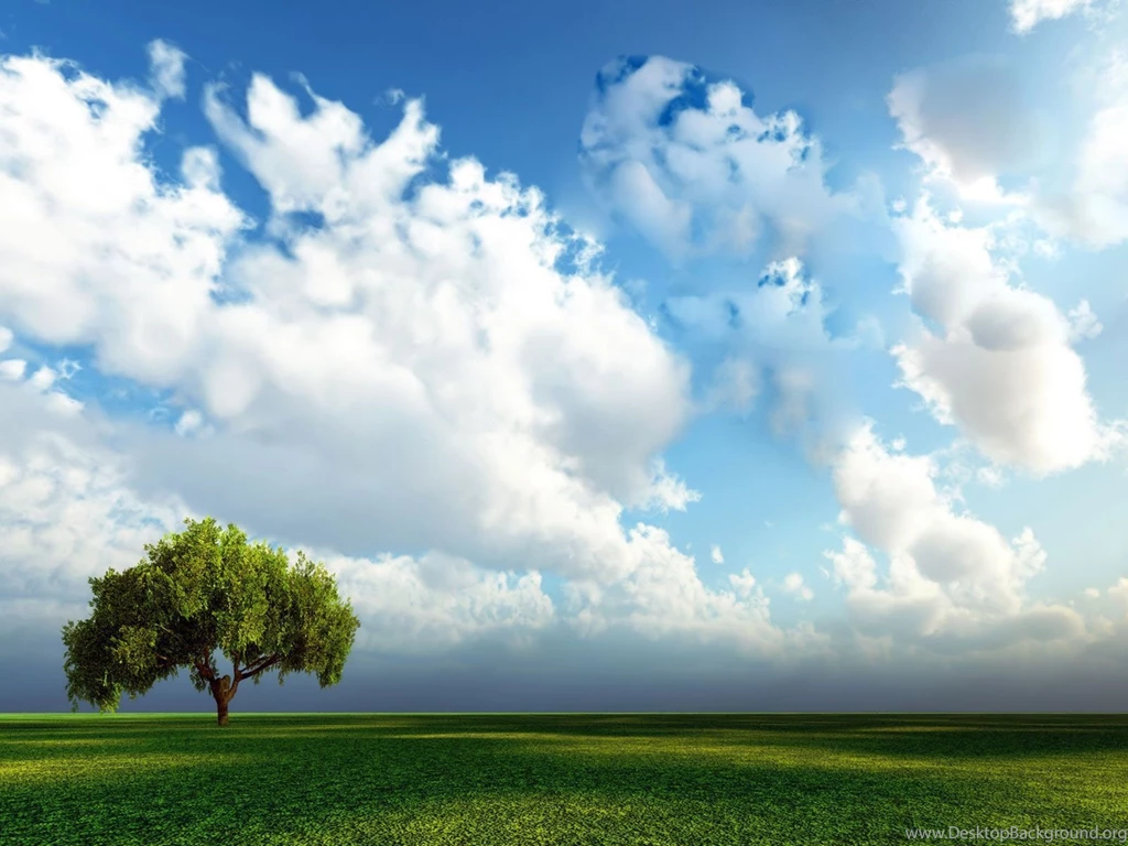 Tree background wallpaper i2.jpg