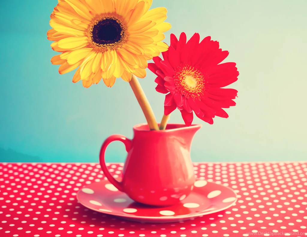 Flowers: Vintage Flowers Gerbera Softness Shutterstock Free ...