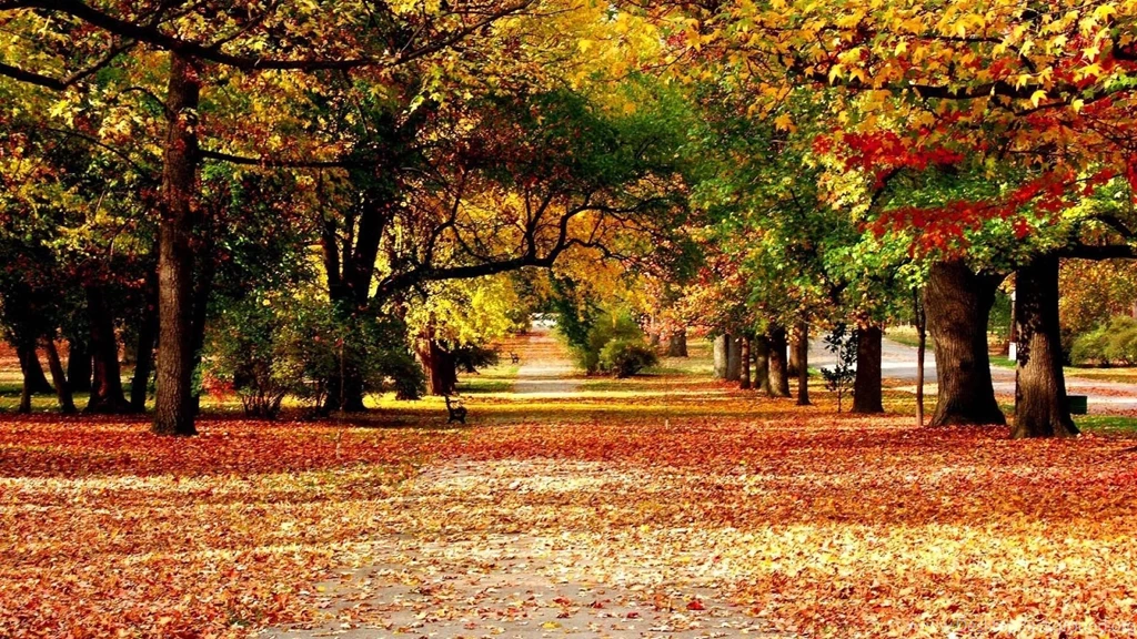 Nature Wallpapers Latest Wallpapers