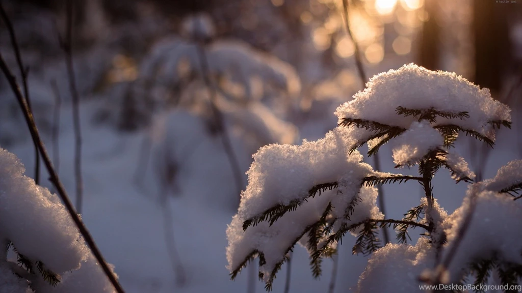 Winter HD 1080p Wallpapers Download