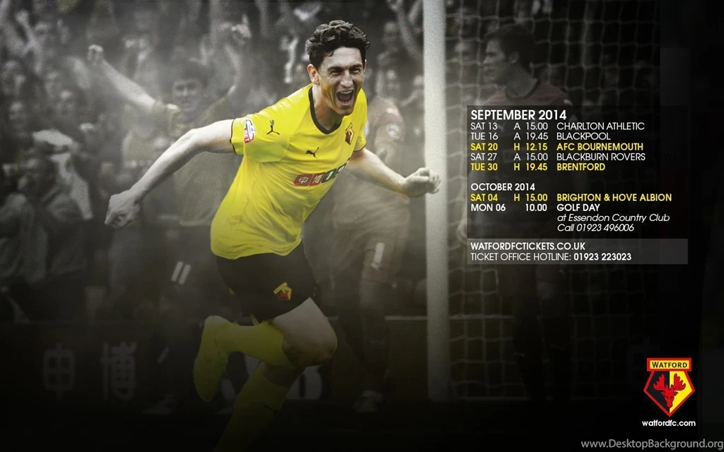 WATFORD FC DOWNLOAD: September Desktop Wallpapers