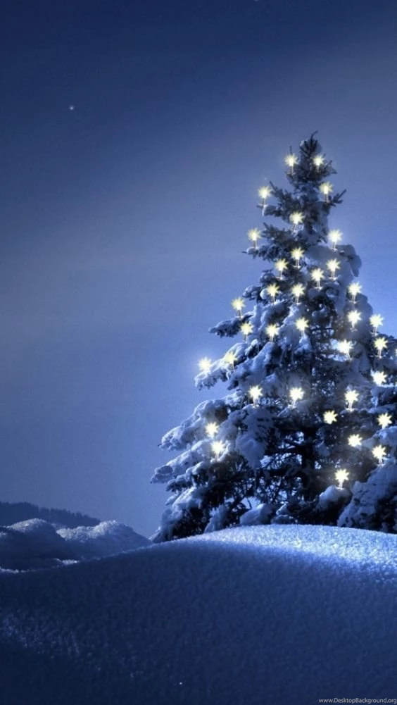 CHRISTMAS TREE, IPHONE WALLPAPER BACKGROUND