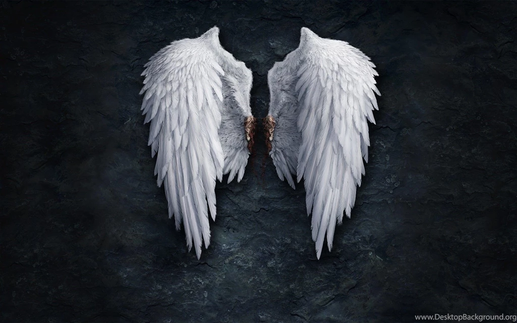 Anime Angel Wings