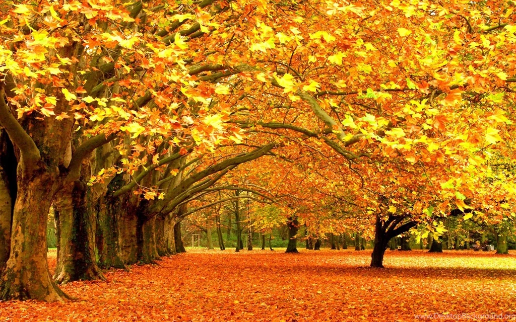 Gallery For Computer Seasonal Wallpapers