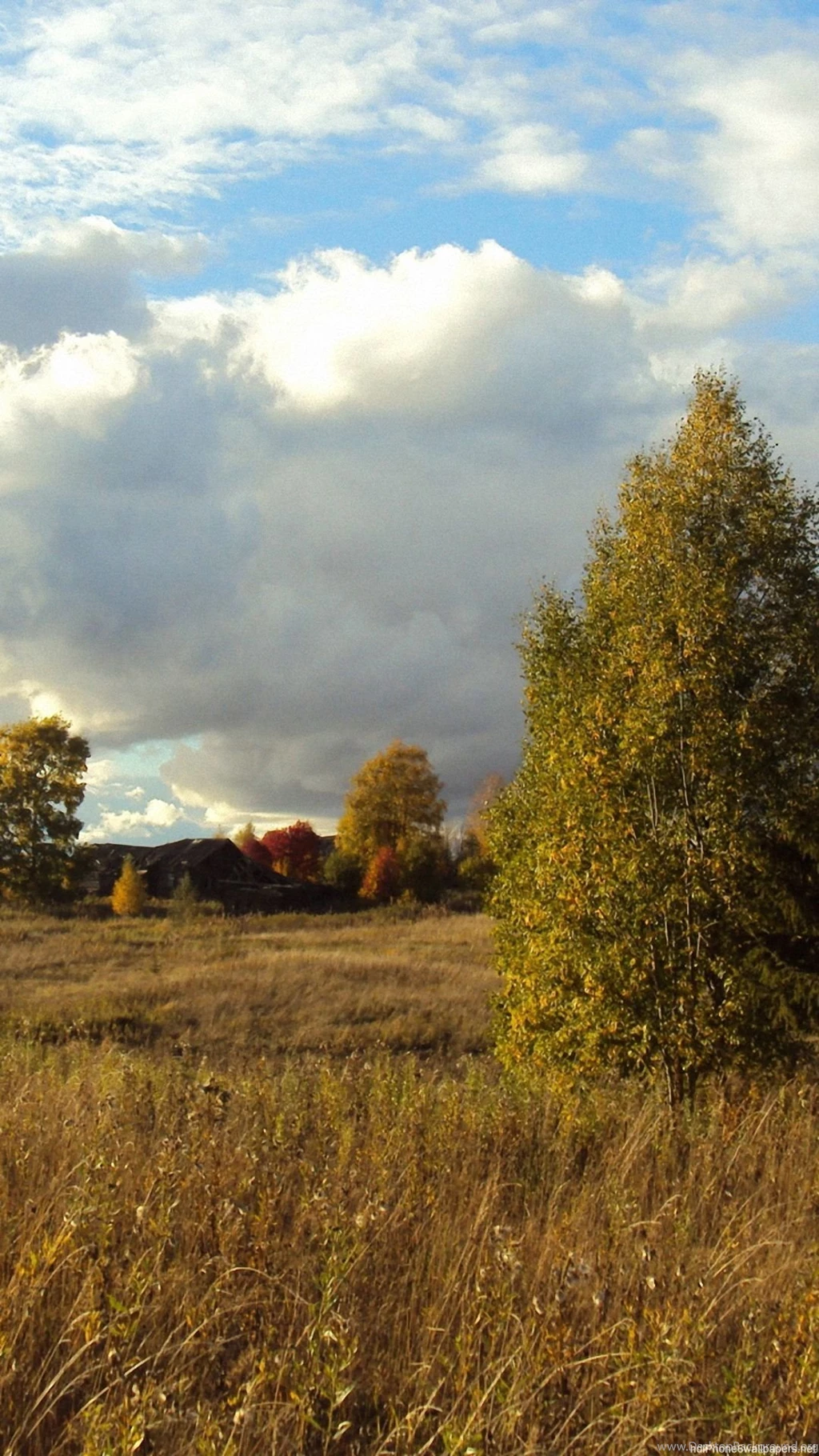 Tree Grass Autumn Field iPhone 6 Wallpapers HD And 1080P 6 Plus ...
