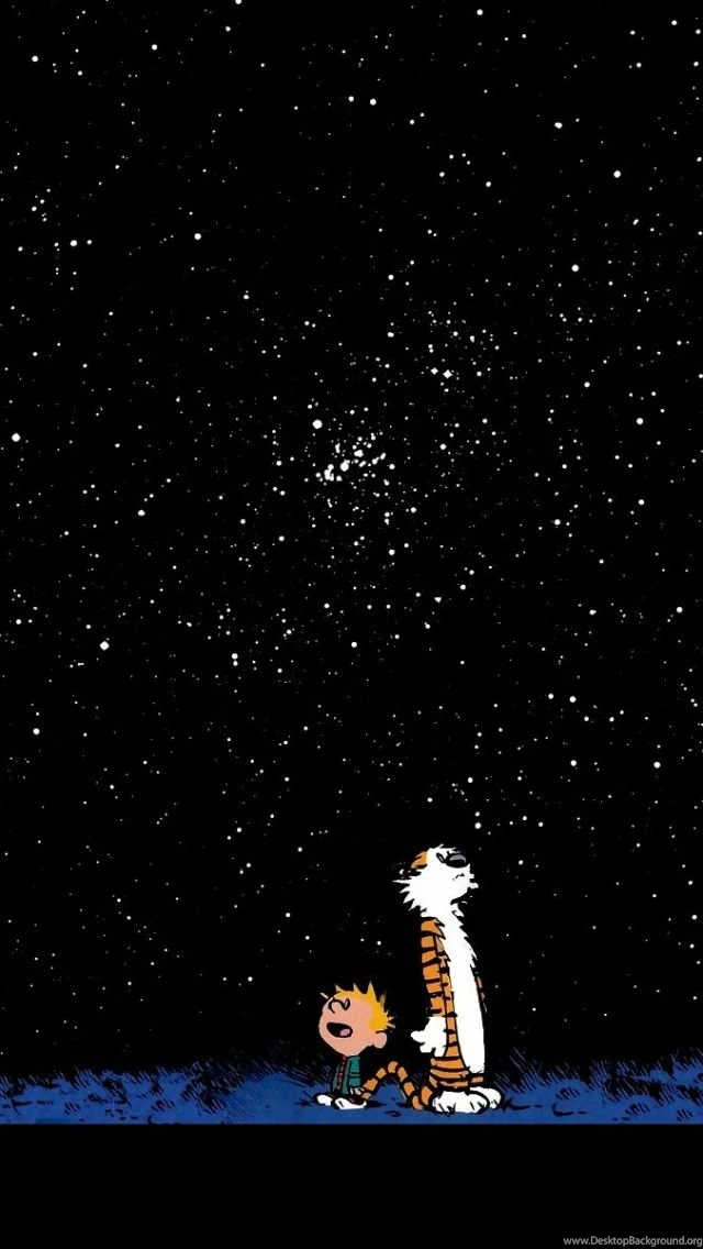 Calvin And Hobbes Looking At Stars iPhone 5 Wallpapers Desktop Background