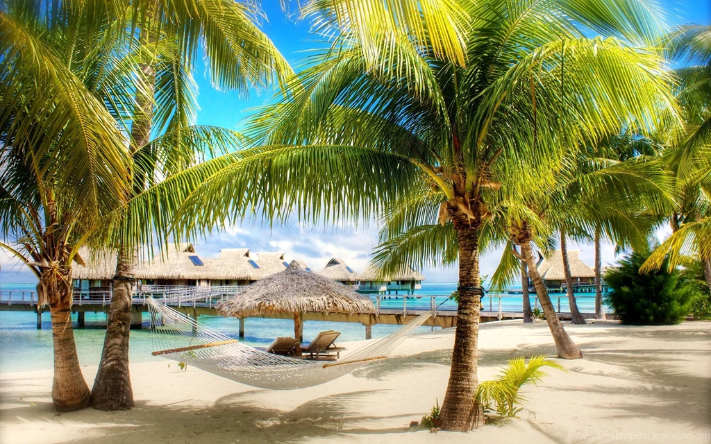 Tropical Beach, Summer, Palm Tree, Sand, Sea, Umbrella, Beaches ...
