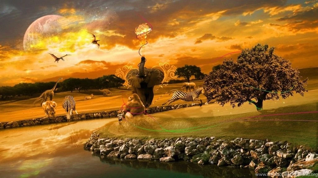 Animated Wallpapers