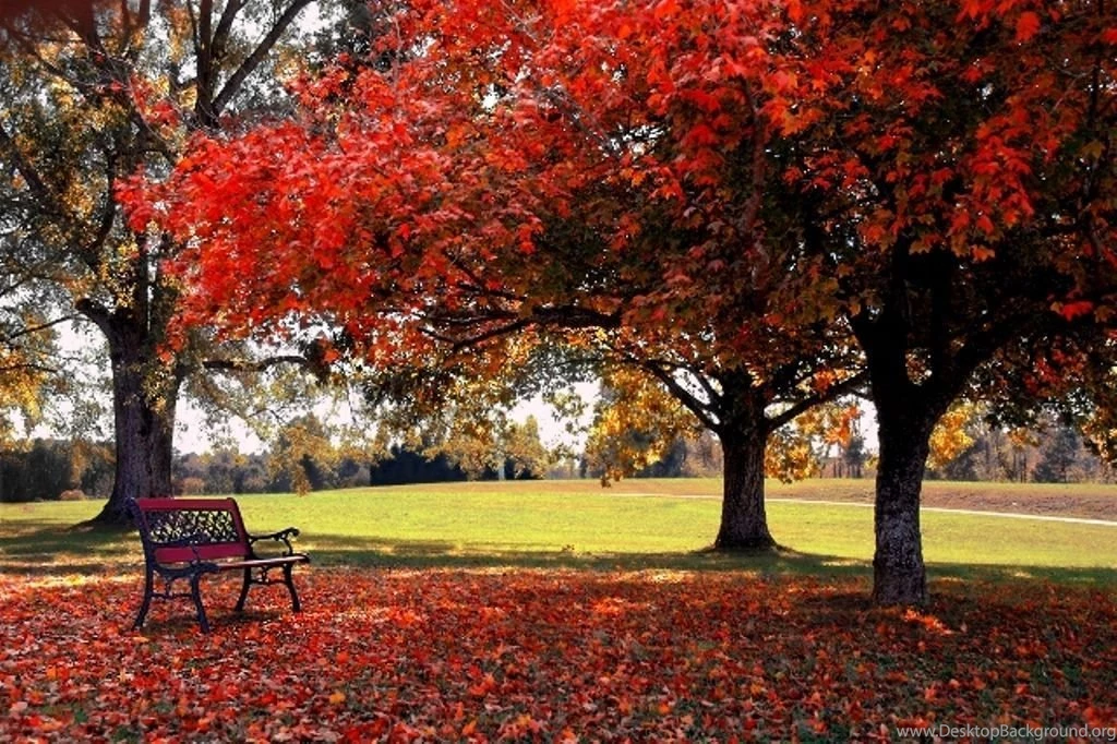 HD Wallpapers