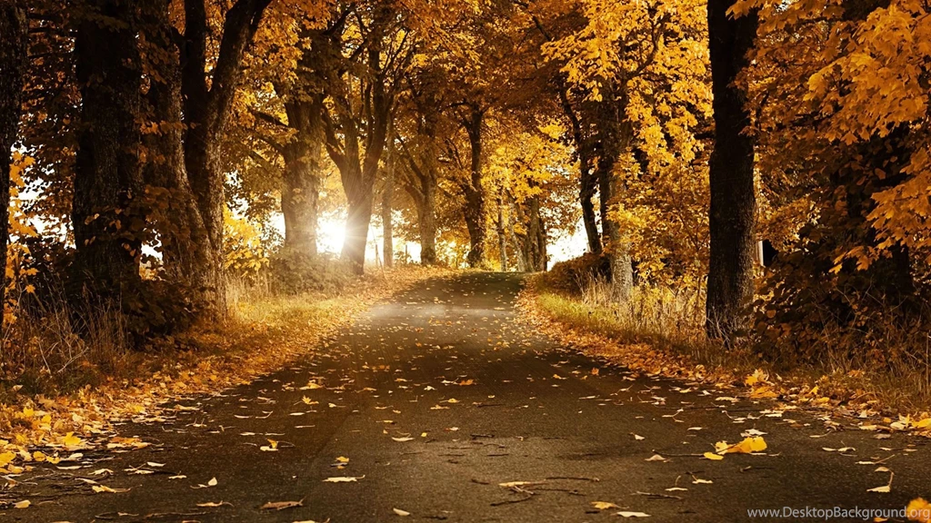 Nature Backgrounds 3223 Backgrounds Cool Wallnos.com
