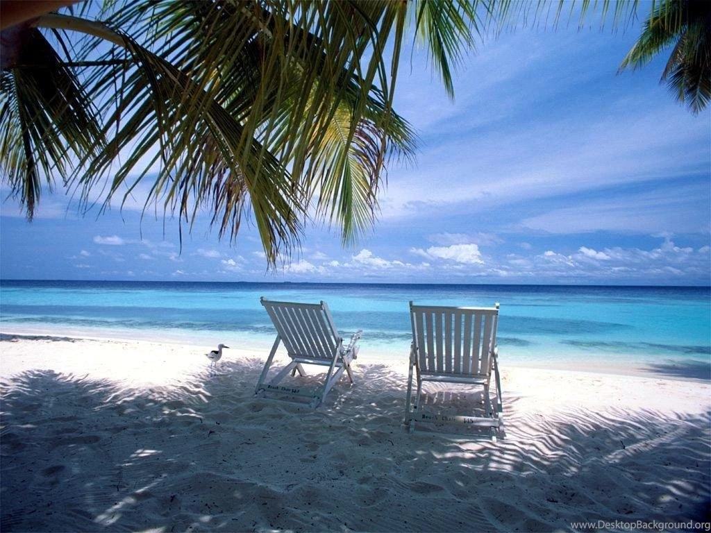 Free Summer Pictures HD Wallpapers And Pictures
