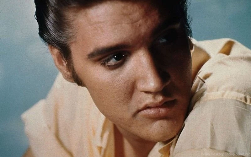 Elvis Presley Rock Men Free Desktop Backgrounds And Wallpapers