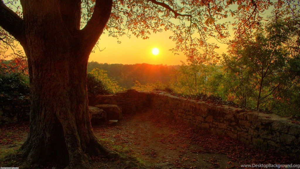 Autumn Warm Light Wallpapers