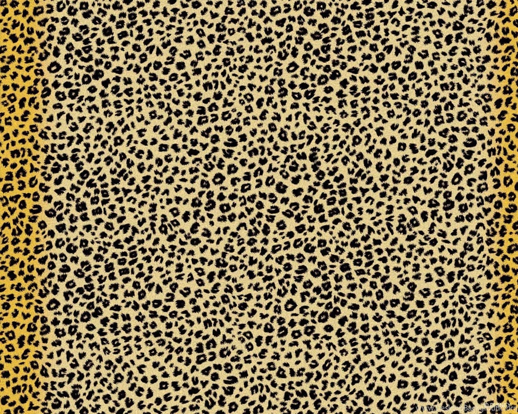 Cheetah The Cheetah Girls Wallpapers (18676839) Fanpop