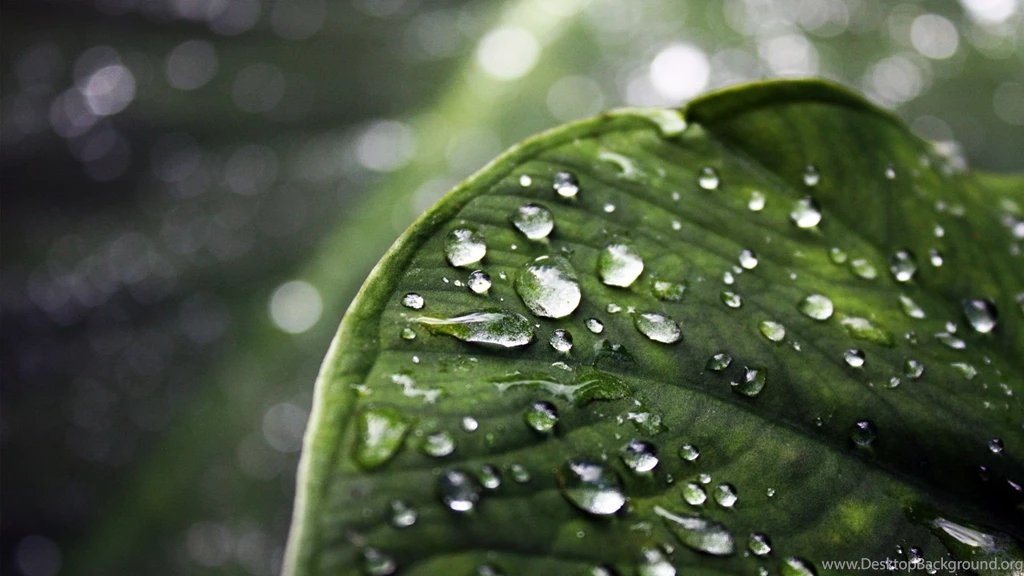 Full HD Wallpapers 1080p 31.jpg