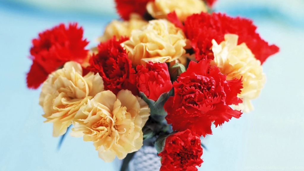 Download Wallpapers 3840x2160 Carnation, Flowers, Bouquet, Vase 4K ...