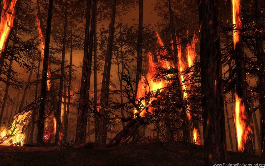 Forest Fire Desktop Wallpaper, Forest Fire Images, New Wallpapers