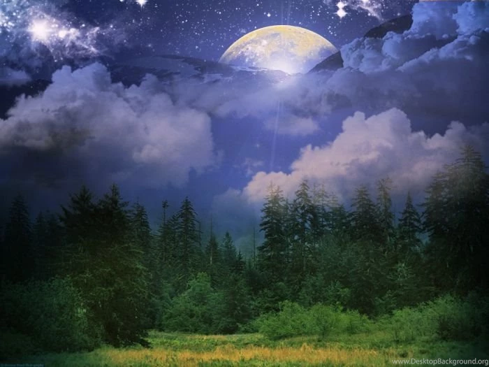 Premade Forest Backgrounds By Anutka milashka On DeviantArt