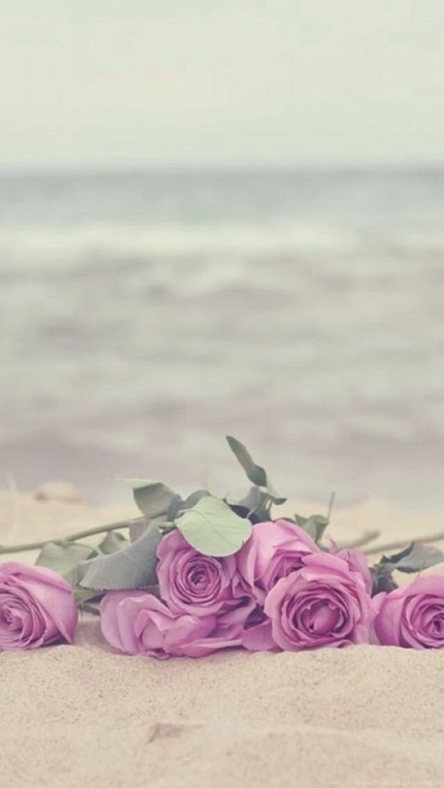 iPhone 5c Wallpapers
