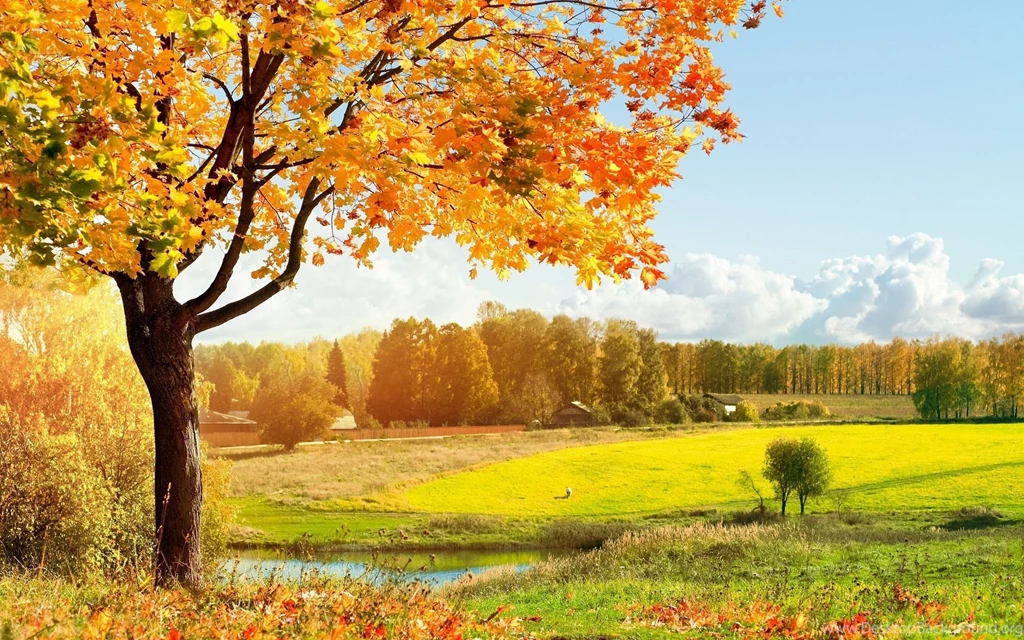 Gallery For Autumn Landscapes Wallpapers