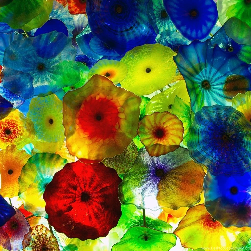 Colorful Jellyfish iPad Wallpapers Download