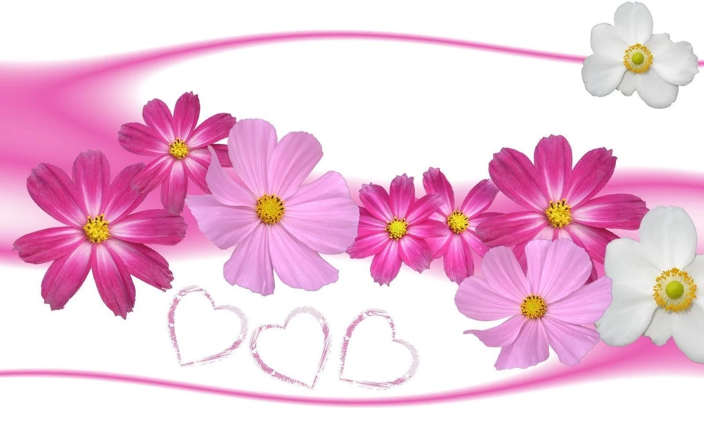 30 Beautiful Flower Wallpapers For You