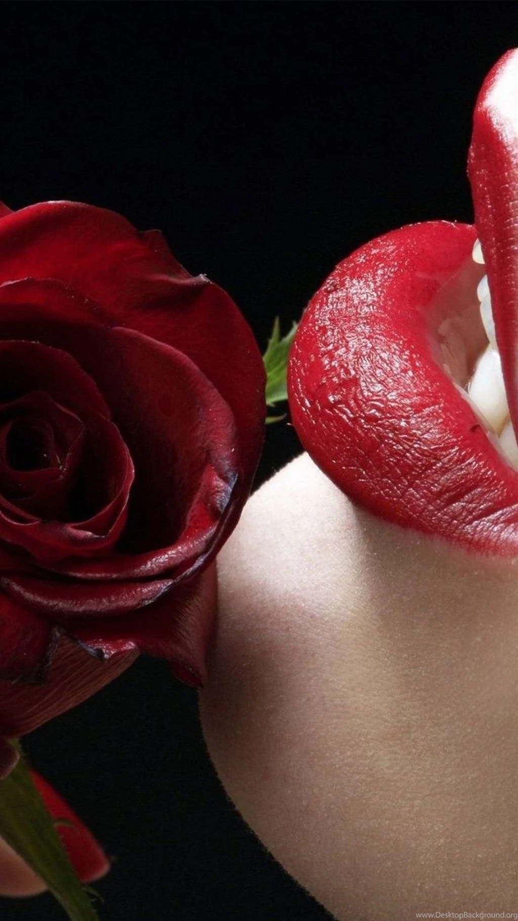 Red Lips Rose Best Htc One Wallpapers, Free And Easy To Download