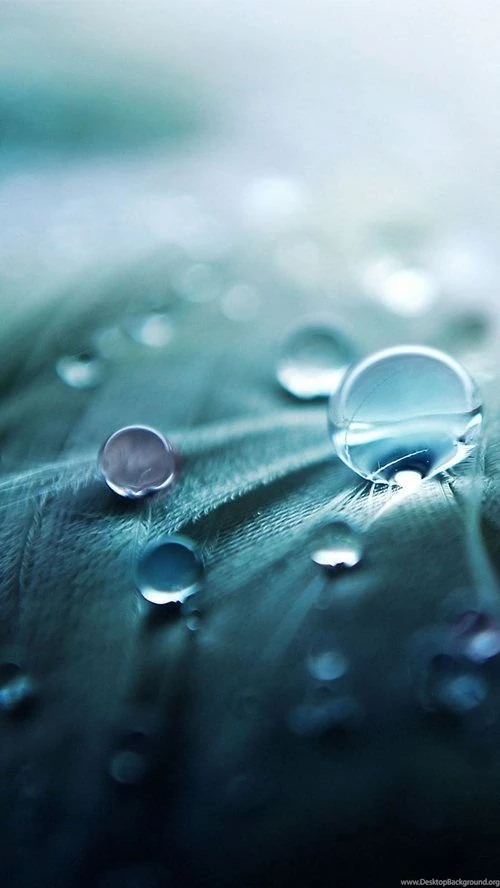 Download Latest iPhone 5 HD Wallpapers Bundle 29 Pelfind