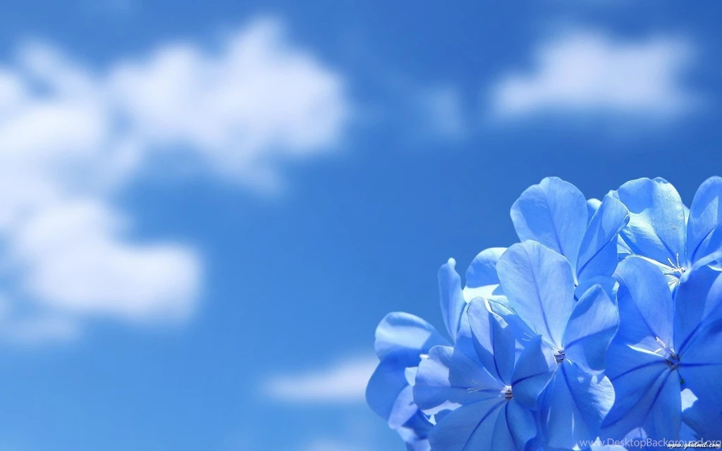 Gallery For Beautiful Sky Wallpapers Widescreen
