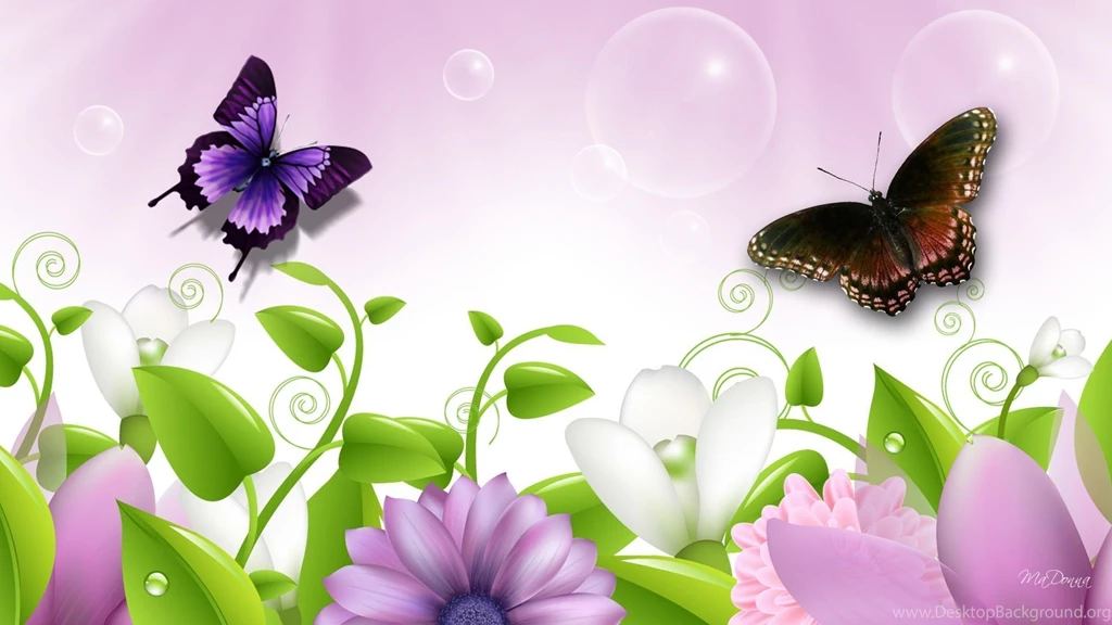Lavender Full HD Wallpapers Search Page 1