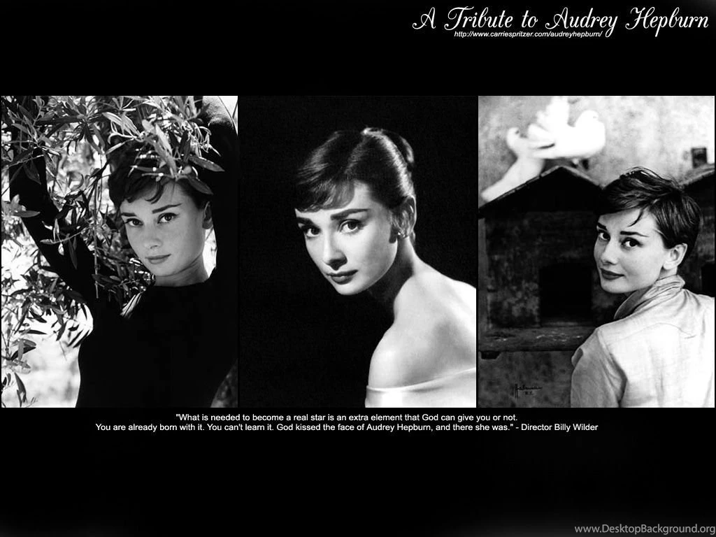 A Tribute To Audrey Hepburn (Online Since 1997)