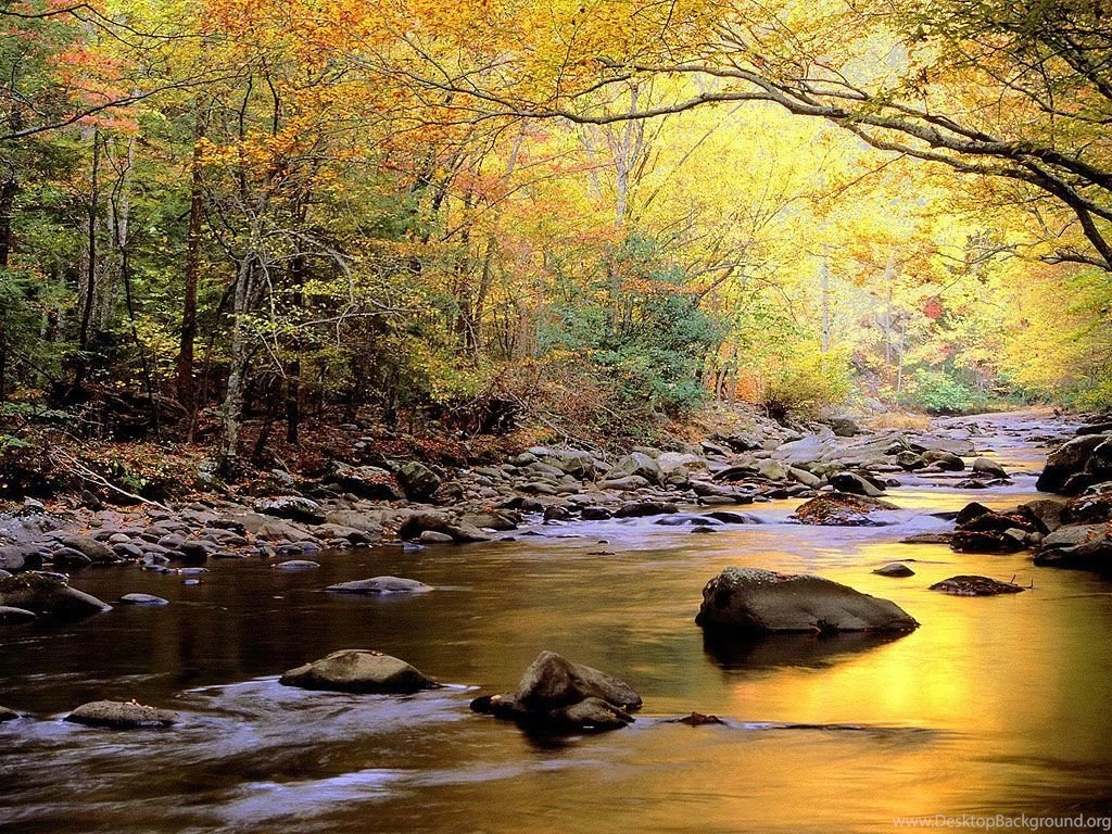 River HD Wallpapers Desktop Pictures