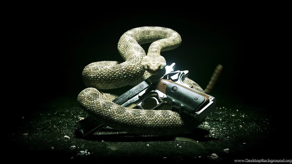 Pistol Snake And Gun Wallpapers