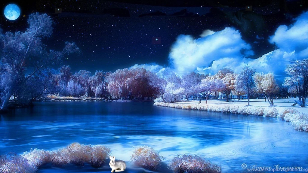 Winter Wallpapers 592 HD Wallpapers