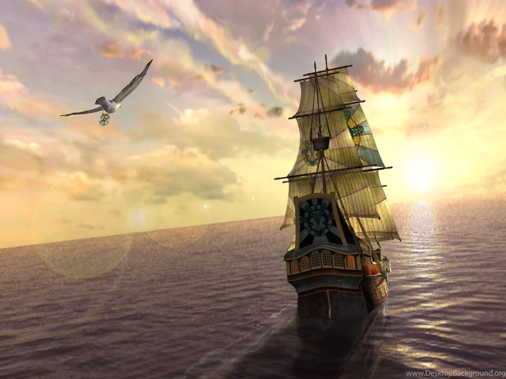 Ship Wallpapers Bird Flying Widescreen.jpg