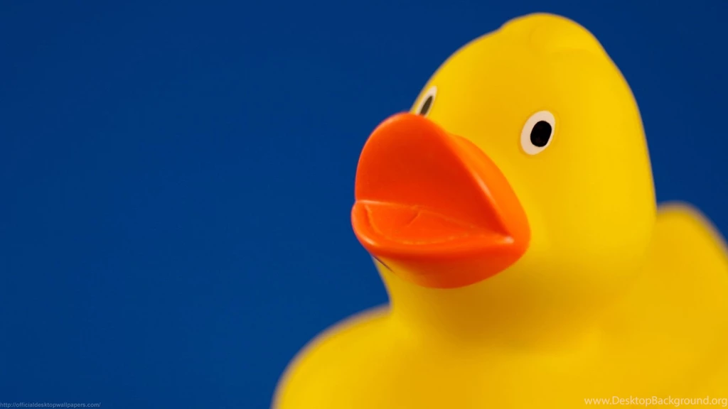 Rubber Ducks HD Wallpapers Desktop Background