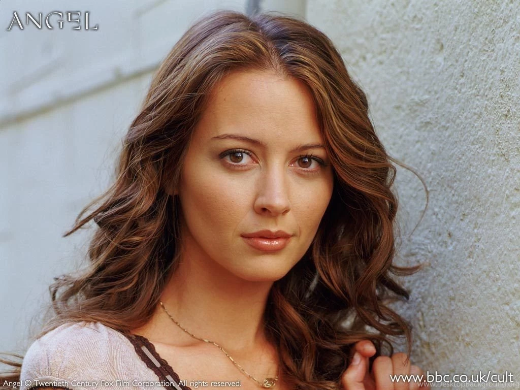 Amy As Fred Amy Acker Wallpapers (2270245) Fanpop