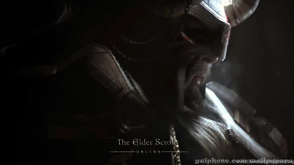 Battle hardened The Viking Wallpapers And Images Wallpapers ...